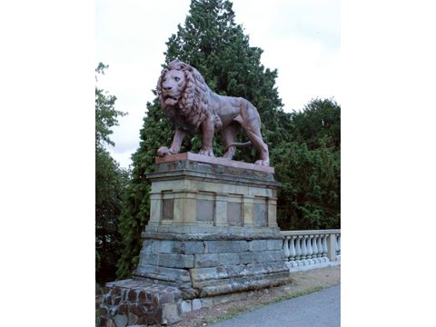 Foto 20